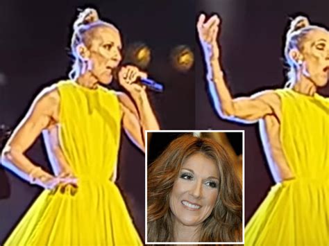 celine duon 2019|Celine Dion last live performance.